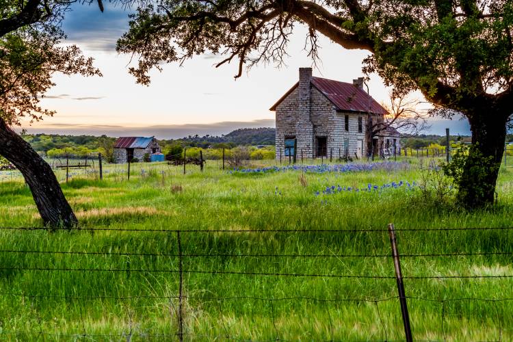 An old home in Texas Hill country surrounded by wildflowers