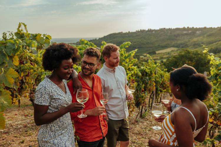 A group of friends taste wine at a vineyard